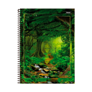 Caderno 1/4 80 Folhas Elementos Foroni